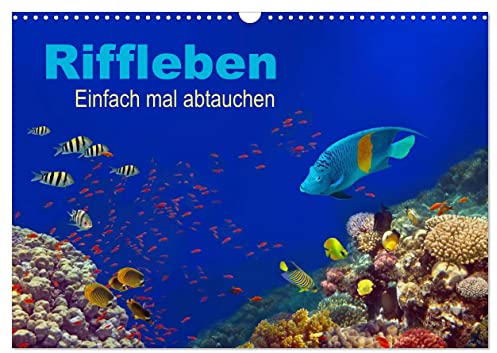 Riffleben - Einfach mal abtauchen (Wandkalender 2025 DIN A3 quer), CALVENDO Monatskalender: Eintauchen in die bunte Unterwasserwelt (CALVENDO Natur)