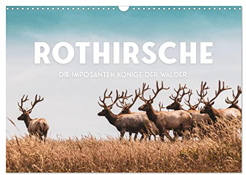 Rothirsche - Die imposanten Könige der Wälder. (Wandkalender 2026 DIN A3 quer), CALVENDO Monatskalender: Majestätische Geweihe. (CALVENDO Tiere)