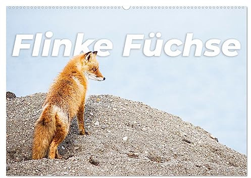 Flinke Füchse (Wandkalender 2026 DIN A2 quer), CALVENDO Monatskalender: Die schlauen und flauschigen Jäger. (CALVENDO Orte)