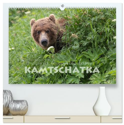Aug in Aug mit den Braunbären in Kamtschatka (hochwertiger Premium Wandkalender 2026 DIN A2 quer), Kunstdruck in Hochglanz: Braunbären im Osten Russlands (CALVENDO Tiere)