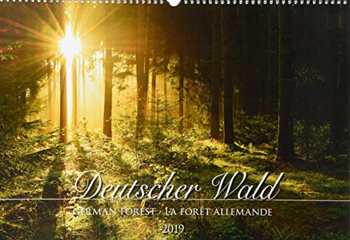 Deutscher Wald 2019 - Bildkalender quer (50 x 34) - Bäume - Landschaftskalender - Naturkalender: German Forest / La Foret Allemande