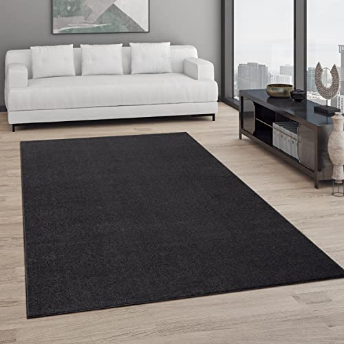 Paco Home Teppich Wohnzimmer Schlafzimmer Esszimmer Kurzflor Moderne Optik Einfarbig Pastell, Grösse:200 cm Quadrat, Farbe:Schwarz