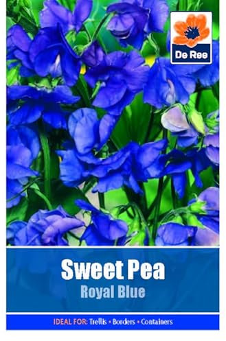 Sweet Pea Royal Blue - 14 Seeds Flower Plant Bedding Borders Containers Pots Grow Your Own Garden Plant Seed