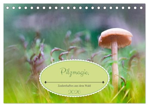 Pilzmagie (Tischkalender 2026 DIN A5 quer), CALVENDO Monatskalender: Kleine Pilze im Makro ganz groß dargestellt (CALVENDO Natur)