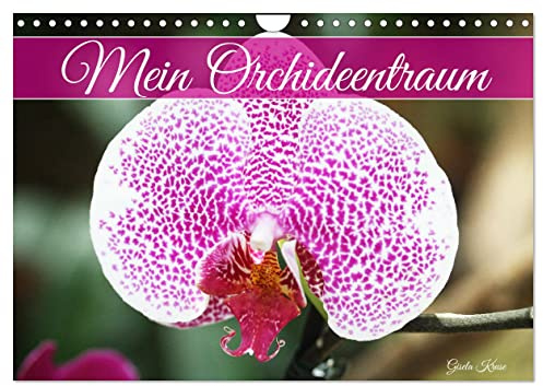 Mein Orchideentraum (Wandkalender 2026 DIN A4 quer), CALVENDO Monatskalender: Vielfältige Orchideenblüten in ausdrucksstarken Fotografien (CALVENDO Natur)
