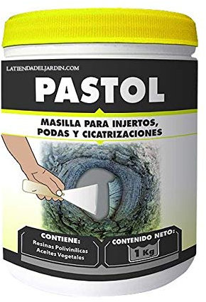 Suinga Mastic de 1 kg pour greffes et élagage | protège, guérit et régénère les plaies des plantes