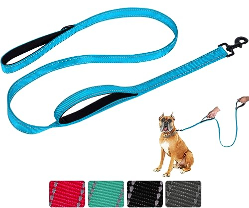 Aepeasti Hundeleine für mittelgroße bis große Hunde mit Zwei gepolsterten Griffen 5FT/6FT, Hundeleine mit Doppelgriff, reflektierende Trainingsleine, langlebige Verkehrsleine