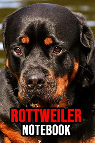 Rottweiler Notebook: Journal / Diary / Notepad, Gifts For Dog Lovers (Lined, 6 x 9)