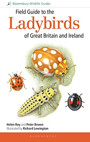 Field Guide to the Ladybirds of Great Britain and Ireland (Bloomsbury Wildlife Guides)