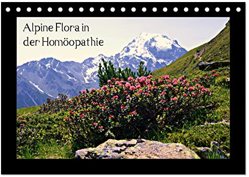 Alpine Flora in der Homöopathie (Tischkalender 2025 DIN A5 quer), CALVENDO Monatskalender
