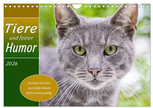 Tiere und feiner Humor (Wandkalender 2026 DIN A4 quer), CALVENDO Monatskalender: Tiere in schönsten Bildern mit lustigen Sprüchen. (CALVENDO Spass)
