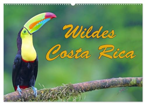 Wildes Costa Rica (Wandkalender 2026 DIN A2 quer), CALVENDO Monatskalender: Costa Rica bezaubert mit einer bunten tropischen Tierwelt (CALVENDO Tiere)