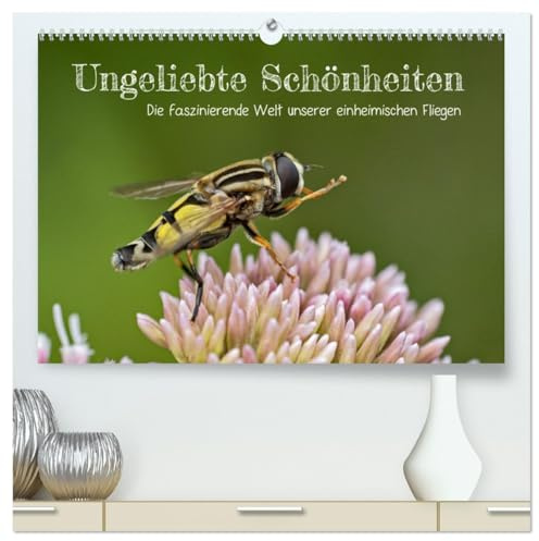 Ungeliebte Schönheiten - die faszinierende Welt unserer heimischen Fliegen (hochwertiger Premium Wandkalender 2026 DIN A2 quer), Kunstdruck in ... wenn man nur genau hinsieht (CALVENDO Tiere)