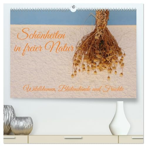 Schönheiten in freier Natur (hochwertiger Premium Wandkalender 2026 DIN A2 quer), Kunstdruck in Hochglanz: Wildkräuter mit ihren Blüten und Fruchtständen (CALVENDO Natur)