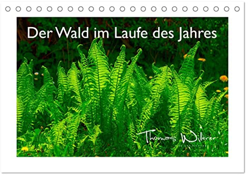 Der Wald im Laufe des Jahres (Tischkalender 2026 DIN A5 quer), CALVENDO Monatskalender: 12 Wunderbare Aufnahmen zeigen den Naturraum Wald in allen ... von Thomas Willerer. (CALVENDO Natur)