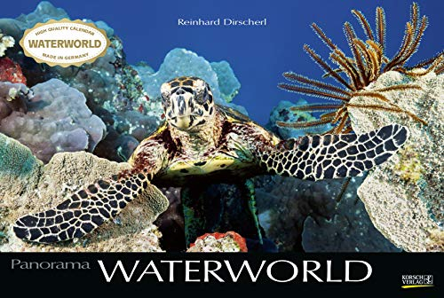 Waterworld 2021: Großer Foto-Wandkalender mit unterwasser-Bildern von Fischen. Edler schwarzer Hintergrund. PhotoArt Panorama Querformat: 58x39 cm.