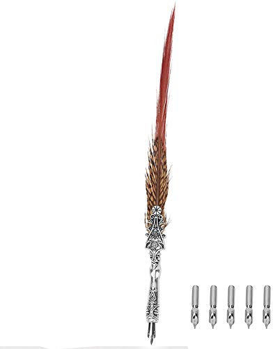 NLDGR Federkiel-Set, Vintage-Feder-Tauchstift, Handgefertigtes Federstift-Set, Zum Schreiben und Als Antike Schreibtischdekoration, Geschenkbox (Typ 2)