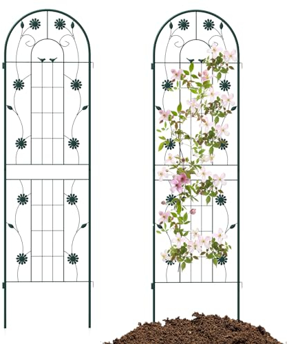 HOMASIS Treillis métallique de plantes 2 pièces, support d'escalade indépendant à brancher, clôture décorative de jardin, espalier pour plantes grimpantes pour patio, balcon, 220 x 50 cm (vert)