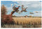Ente Jagd Tier, Puzzle 1000 Teile, Holzpuzzle, Spielzeug, Familienspiel, Wanddekoration für Erwachsene und Jugendliche