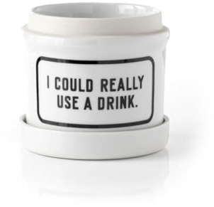 I Could Really Use A Drink Planter w/ Drip Tray