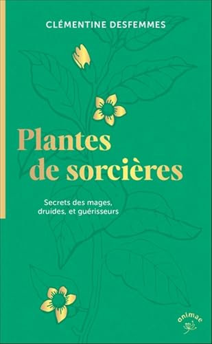 Plantes de sorcières: Secrets des mages, druides, et guérisseurs