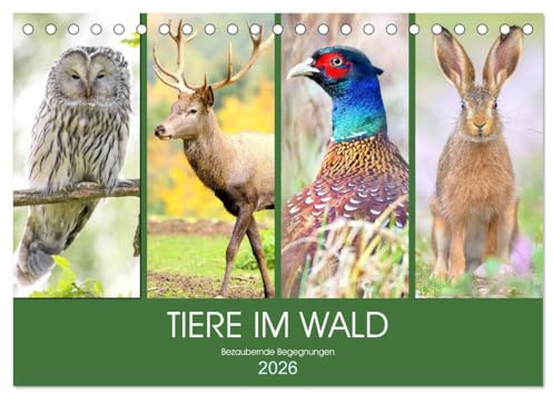 Tiere im Wald. Bezaubernde Begegnungen (Tischkalender 2026 DIN A5 quer), CALVENDO Monatskalender: Ein magischer Ausflug durch den Wald (CALVENDO Tiere)