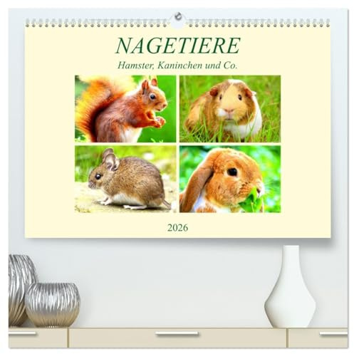 Nagetiere. Hamster, Kaninchen und Co. (hochwertiger Premium Wandkalender 2026 DIN A2 quer), Kunstdruck in Hochglanz: Hübsche Exemplare aus der großen Familie der Nagetiere (CALVENDO Tiere)