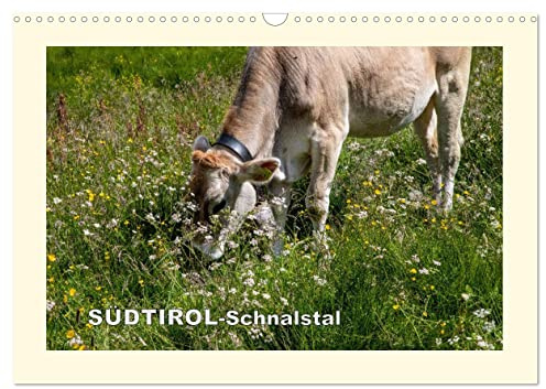 SÜDTIROL-Schnalstal (Wandkalender 2026 DIN A3 quer), CALVENDO Monatskalender: Landschaft und Flora eines idyllischen Tals (CALVENDO Natur)