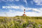 Faszination Nordsee 2023: Großer Foto-Wandkalender von der Küste und der Nordsee in Deutschland. PhotoArt Panorama Querformat: 58x39 cm.