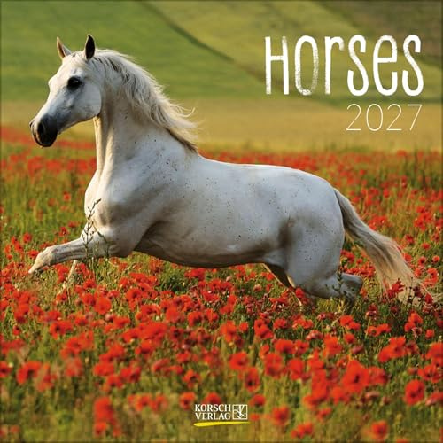 Horses 2027: Broschürenkalender mit Ferienterminen. Pferde und Ponys. 30 x 30 cm