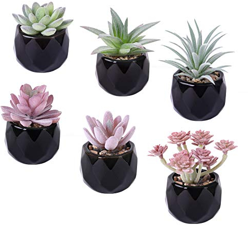 Tifuly 6Pcs Mini Assorted Artificial Succulent Plants Pot,Faux Succulent Plants Realistic Fake Greenery Simulation Plant with Black Geometric Ceramic Planter Pots Home Office Decor(Combination 6)