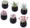 Tifuly - Lot de 6 Mini Plantes succulentes artificielles - avec Mini Pot réaliste - Vert - pour décoration de Maison ou de Bureau (1 Combinaison)