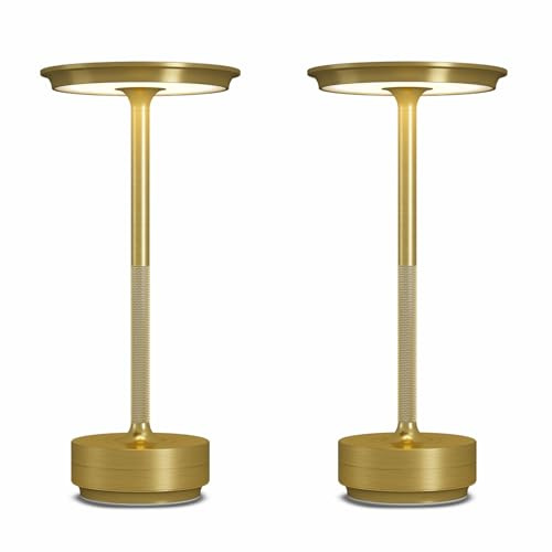 FDIDC 2 Pack Cordless Table Lamps Rechargeable, 5000mAh LED Table Light