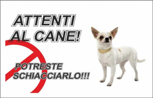 M-ITALY CARTELLO SEGNALETICO - ATTENTI AL CANE CHIHUAHUA - Adesivo Extra Resistente, Pannello in Forex, Pannello In Alluminio (30x42, Plastica)