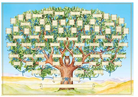 Graphiques d'arbre généalogique vierge, tableau historique familial, histoire familiale, toile avec photo en tissu, diagramme d'arbre généalogique vierge, tableau d'arbre généalogique à remplir