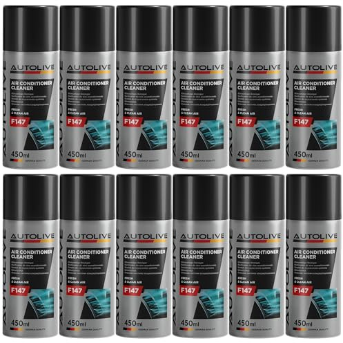 Limpiador Aire Acondicionado Espuma Coche Higienizante A/C Pack de 12 - Limpieza y Desinfeccion Eliminador Olores - Limpia y Refresca - 450 ml
