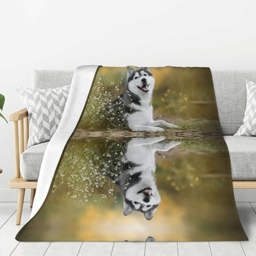 Dnbclezk Niedliche Hunde-Gewichtsdecke, weiche Flanelldecke, personalisierter Druck, Überwurf, Sofadecke, Bettdecke, passend für alle Jahreszeiten