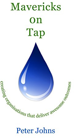 Mavericks on Tap: creating organisations that deliver awesome outcomes