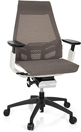 hjh OFFICE 652889 Profi Bürostuhl GENIDIA SMART White Netzstoff Grau ergonomischer Drehstuhl mit verstellbaren Armlehnen, Sitz neigbar