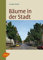 Bäume in der Stadt: Besonderheiten, Funktion, Nutzen, Arten, Risiken