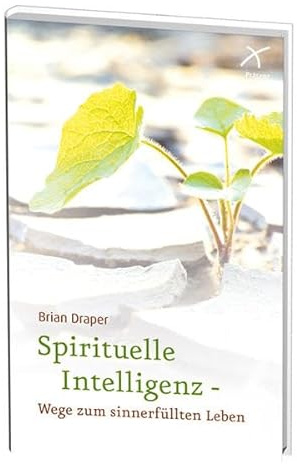 Spirituelle Intelligenz - Wege zum sinnerfüllten Leben