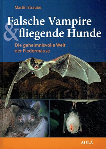Falsche Vampire & fliegende Hunde: Die geheimnisvolle Welt der Fledermäuse