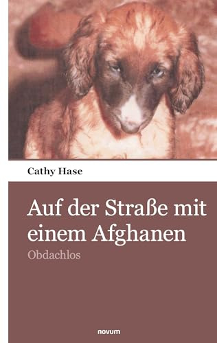 Auf der Straße mit einem Afghanen: Obdachlos