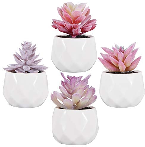 Zalava Lot de 4 Plantes Succulentes Artificielles Plantes avec Pot Plante Artificielle Petite pour Table Maison Balcon Bureau Décoration (4 pièces)