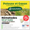 Nématodes pelouse et gazon - Traitement contre les larves de Tipules (vers gris ou Cousin) - 100% naturel. Traite les tâches jaunes du gazon (Pour 50m² (25 millions))