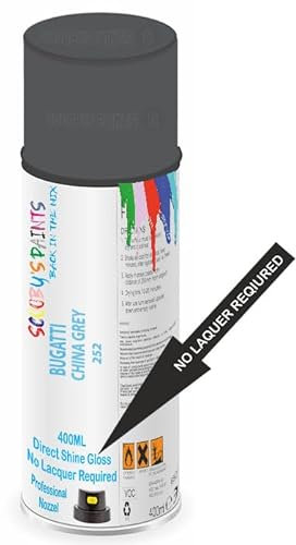 SCOOBYS PAINTS BACK IN THE MIX Direct Gloss Aerosol Spray Paint For Bugatti China Grey Code: 252 No Lacquer Required