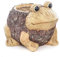 Cache Pot Effet Bois - Grenouille