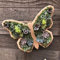 Sukkulenten aus Holz, Pflanztöpfe für Sukkulenten aus Holz, Blumentopf, Pflanztopf, Garten, Mikro-Landschaft, Töpfe, Holzblumentopf, Ornamente, Garten im Freien (Schmetterling)