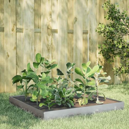 Tomostar Lit de Jardin Surélevé, Jardinière Potager de Jardin Bac à Plant 100x100x18,5 cm Acier Inoxydable