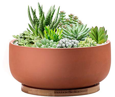EPFamily Pot de Fleurs Peu Profond en Terre Cuite de 20,3 cm avec Plateau en Bambou, Pot de Fleurs en Argile pour intérieur et extérieur avec Trou de Drainage, Terre Cuite